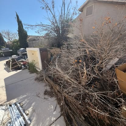 A large pile of yard debris and dead brush ready for removal